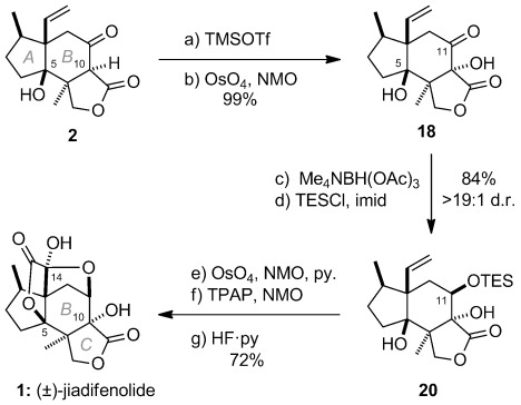 Scheme 4