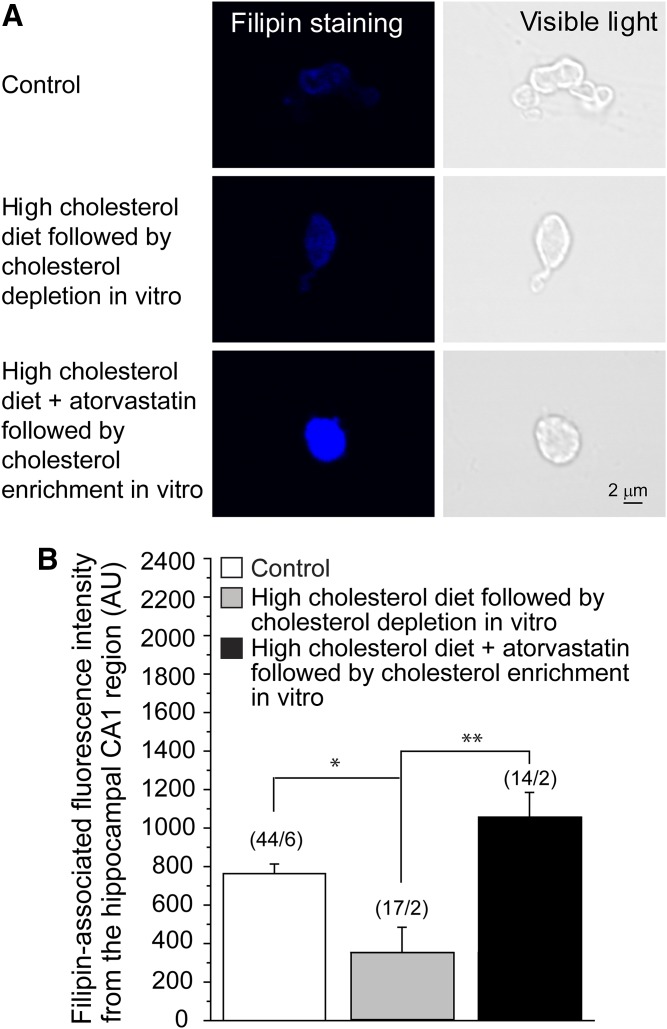 Fig. 4.