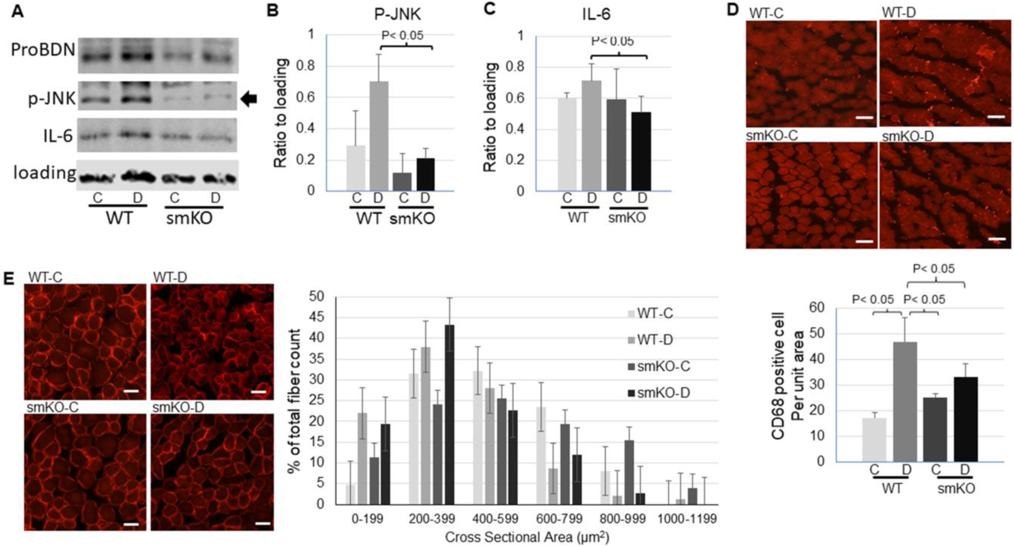 Figure 6,