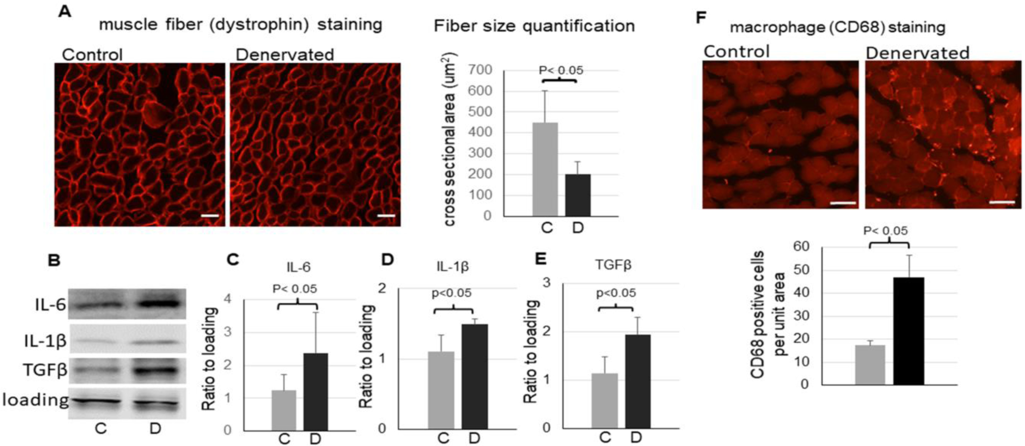 Figure 3,