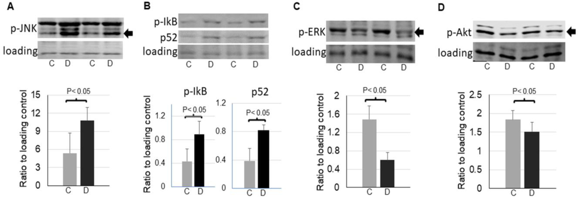 Figure 2,