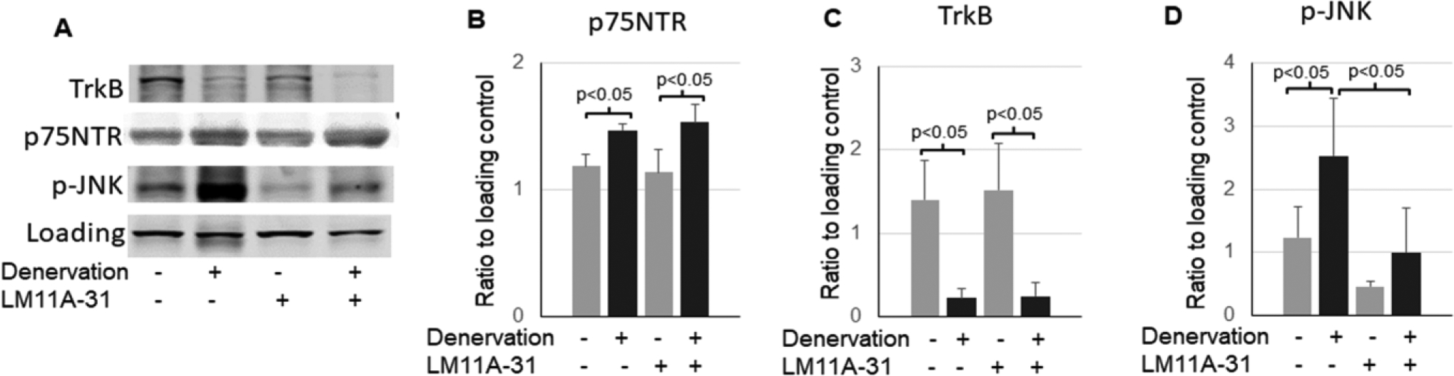 Figure 4,