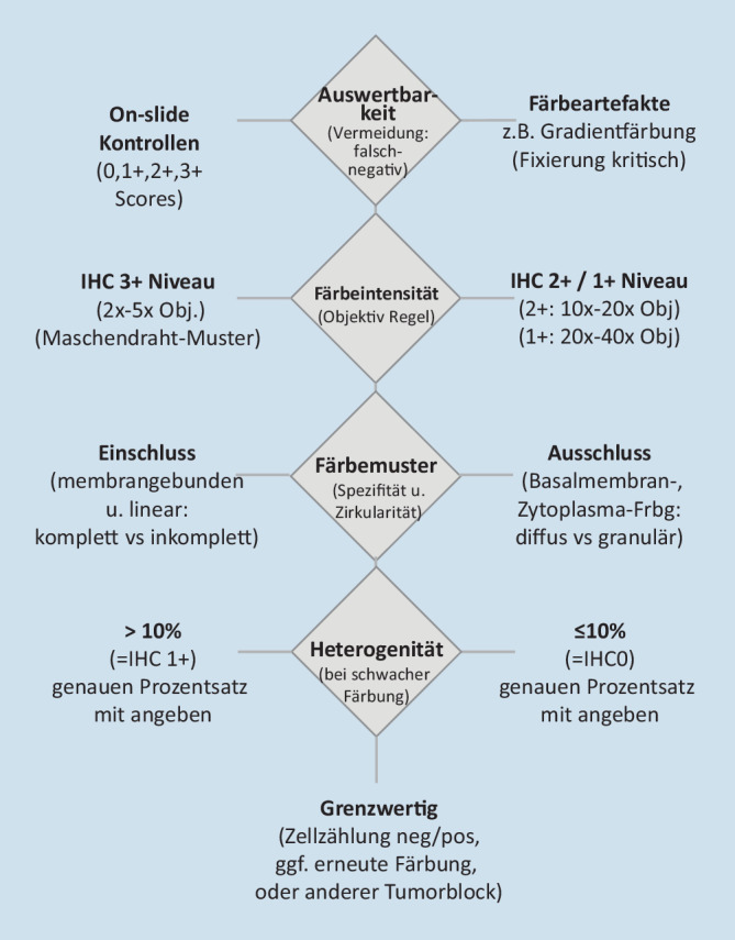 graphic file with name 292_2022_1124_Fig2_HTML.jpg