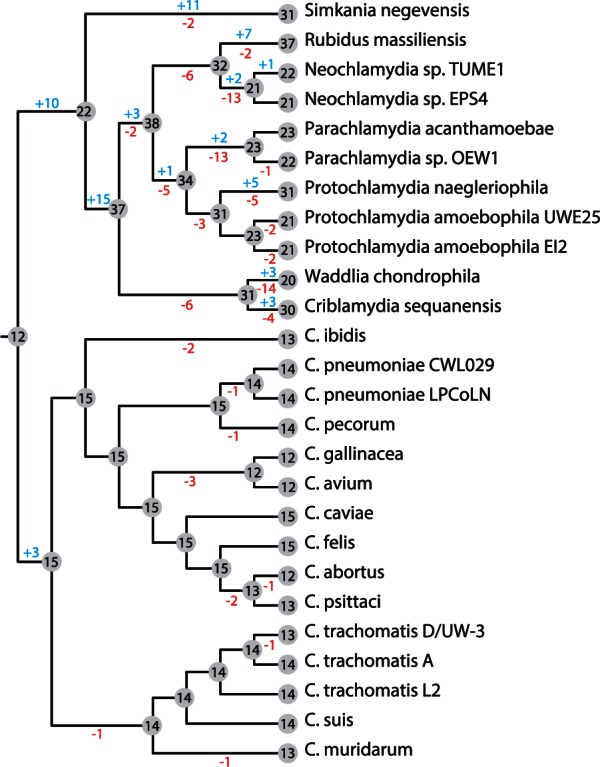 Fig. 2.