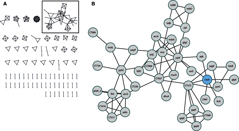 Fig. 7.