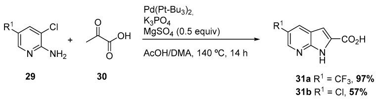 Scheme 13