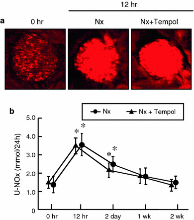 Fig. 4