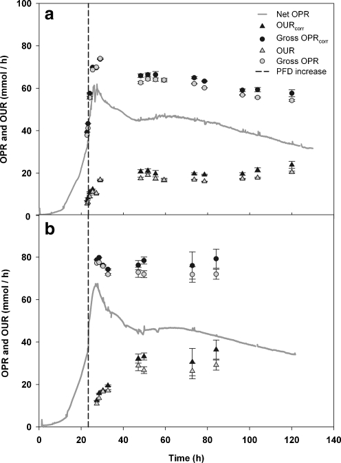 Fig. 6