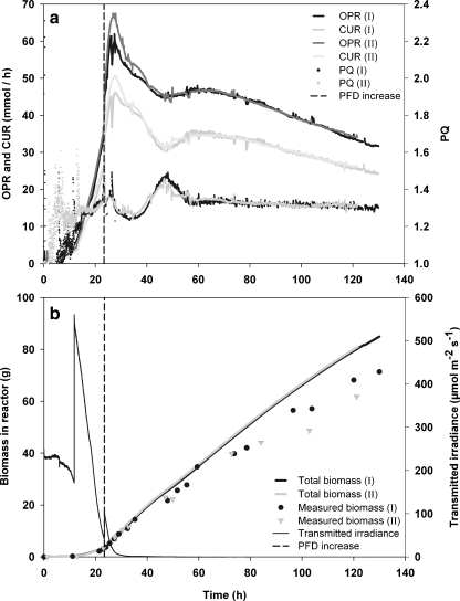 Fig. 4