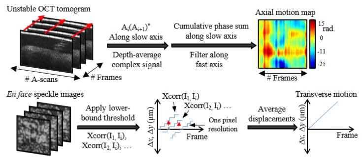 Fig. 2