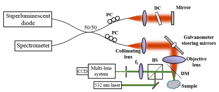 Fig. 1