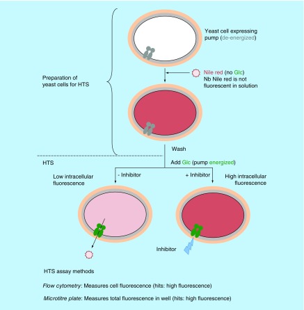 Figure 4. 