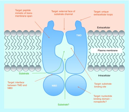 Figure 1. 