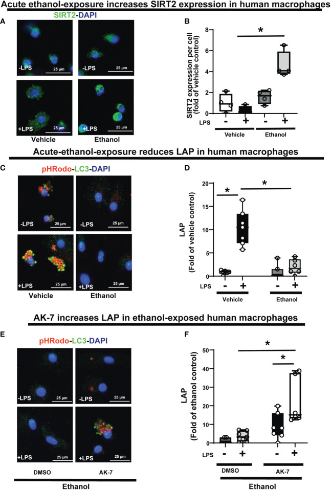 Figure 11