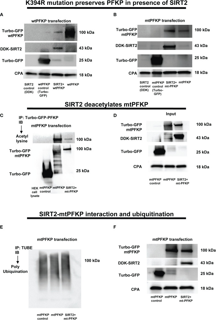 Figure 6