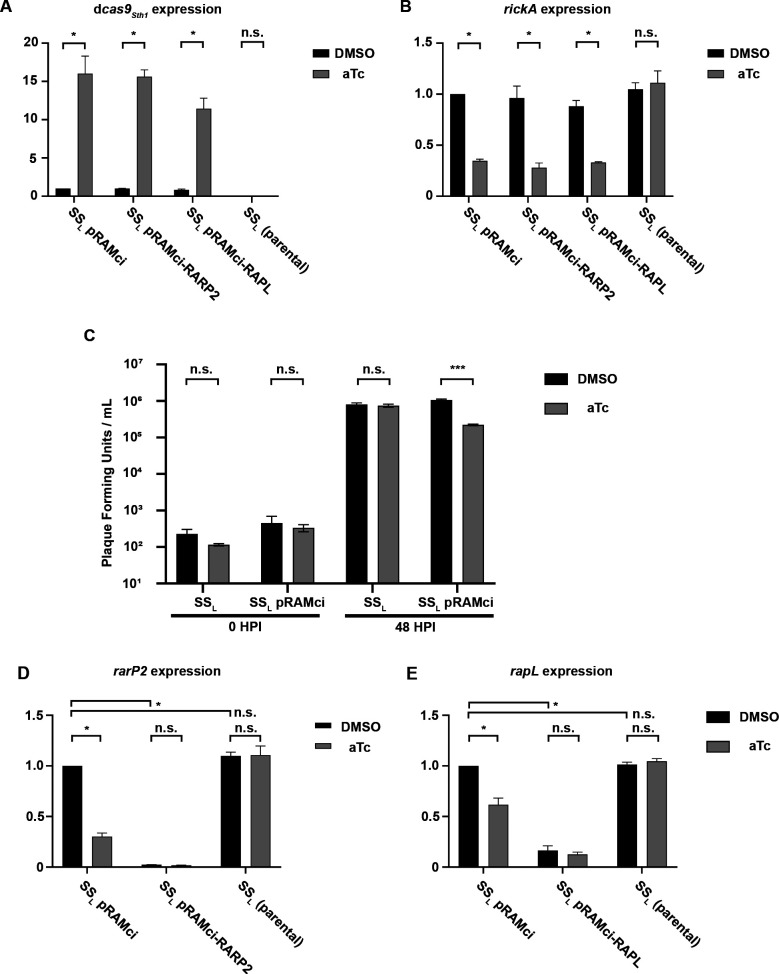 The bar graphs compare gene expression and plaque-forming units for different conditions, with DMSO and aTc treatments. The gene expression levels for dcas9, ricA, rarP2, and rapL, along with plaque counts at 0 and 48 hours post-infection, are displayed.