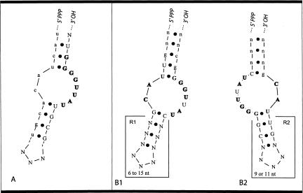 FIGURE 1.