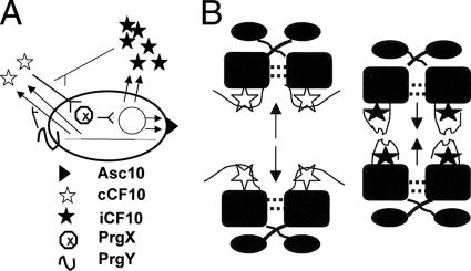 FIG. 1.