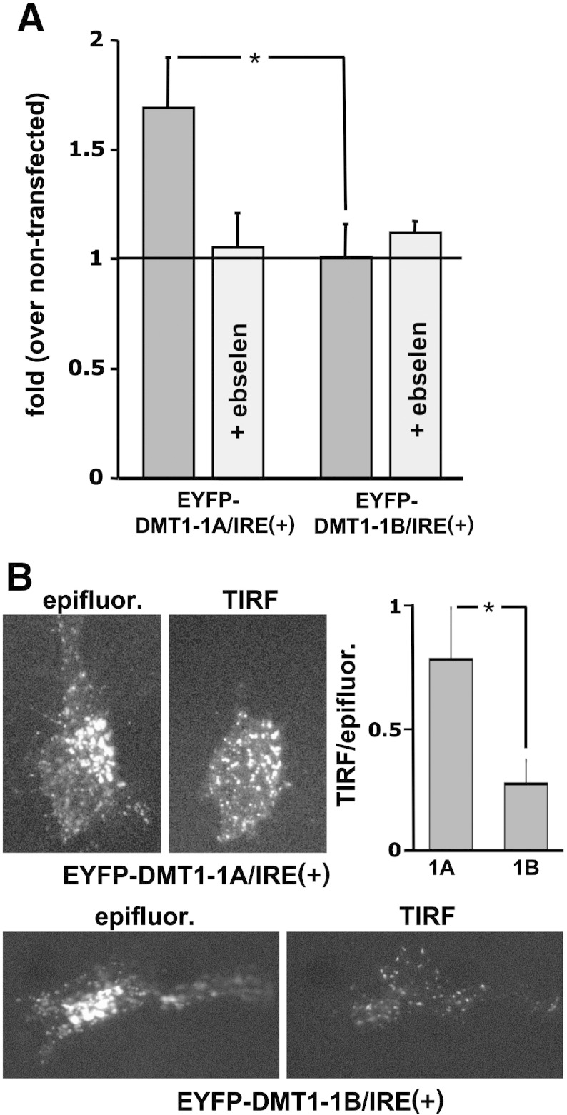 Fig. 4