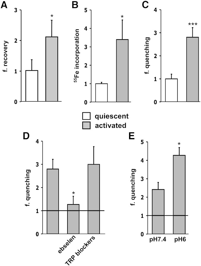 Fig. 2