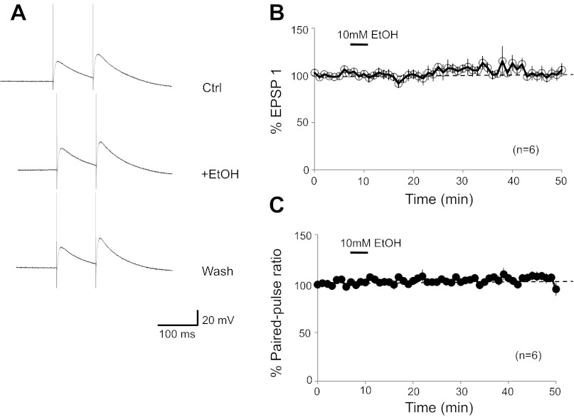 Fig. 10.