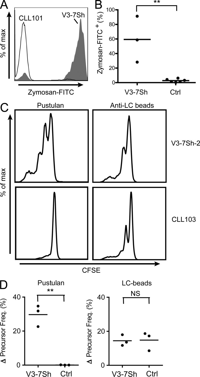 Figure 7.