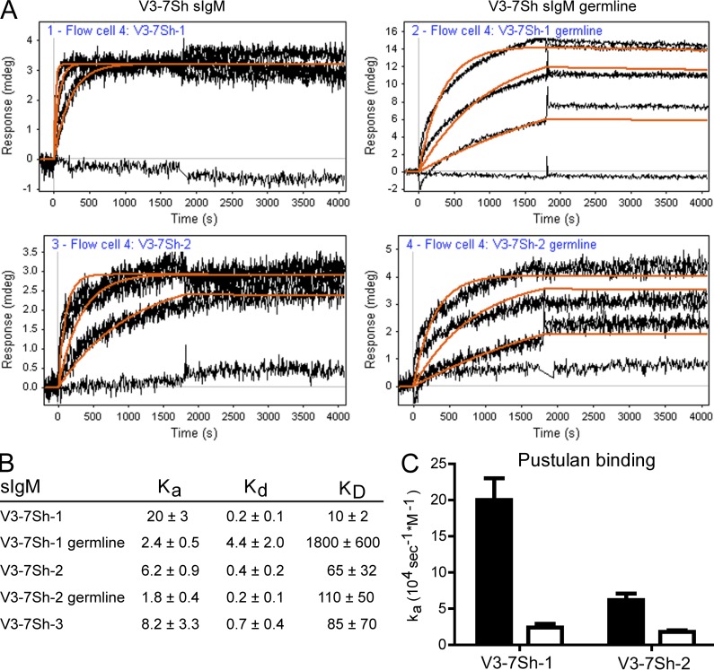 Figure 6.