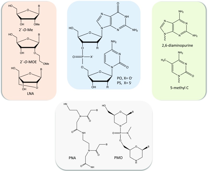 Fig. 2