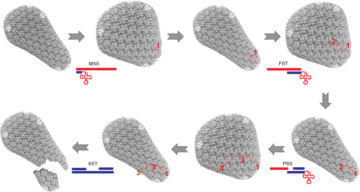 Fig. 2