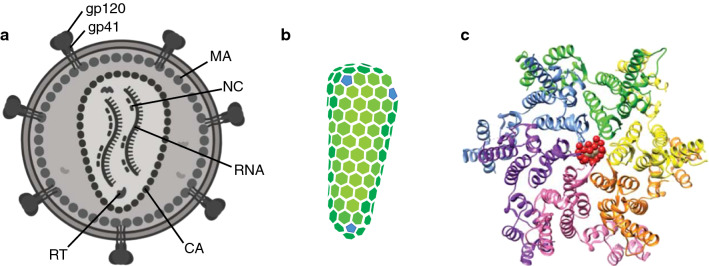 Fig. 1