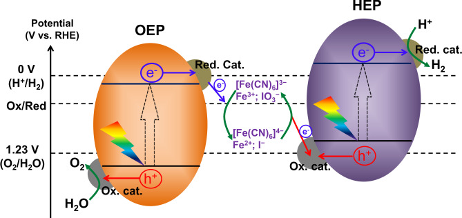 Fig. 1