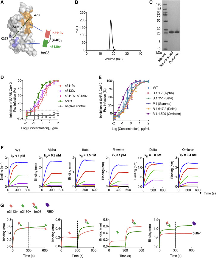 Figure 2