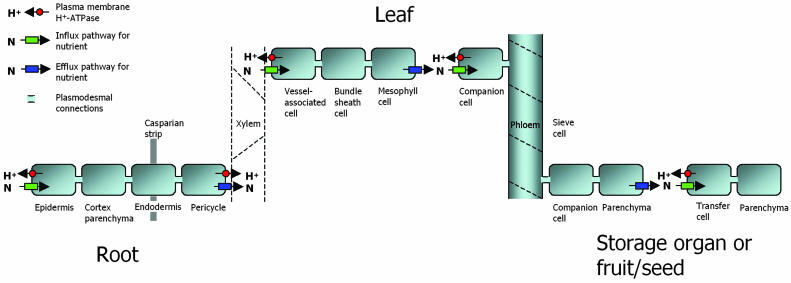 Figure 1.