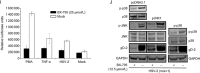 Figure 4I, 4J