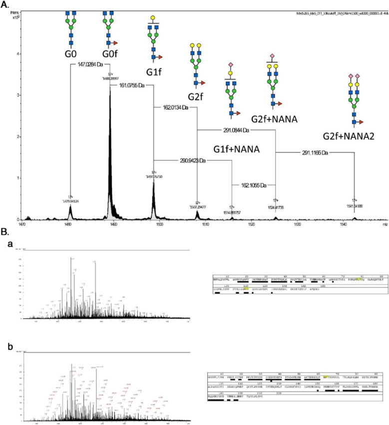 Figure 7.7