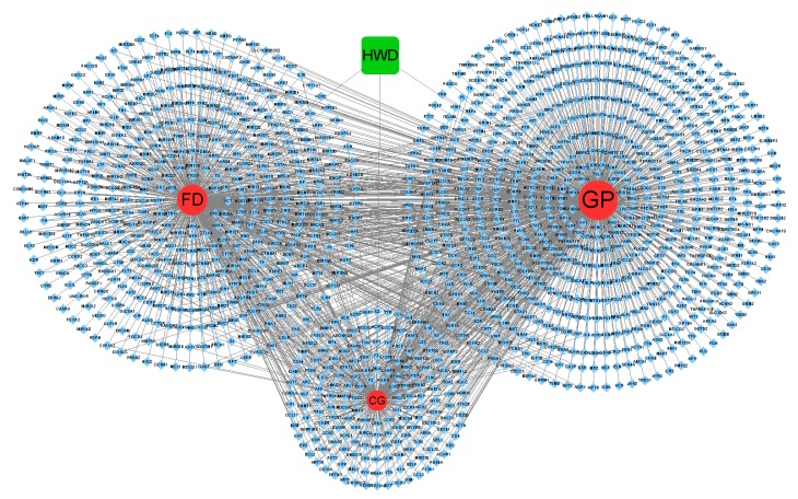 Figure 11