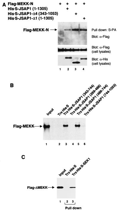 FIG. 6