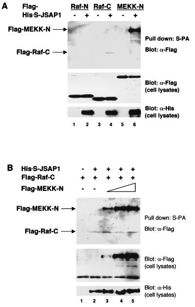 FIG. 7