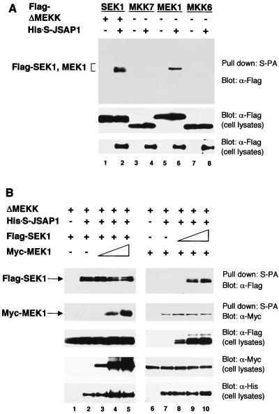 FIG. 5