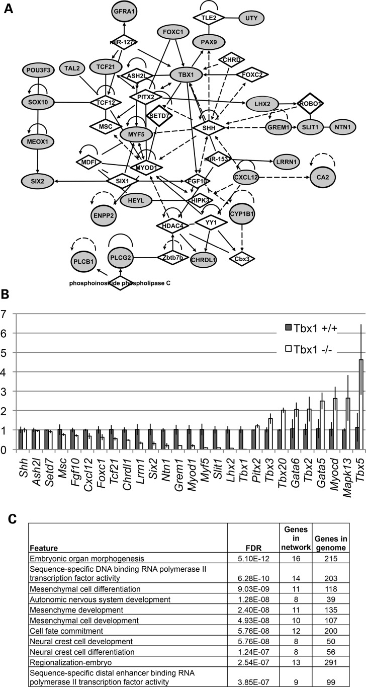 Figure 2.