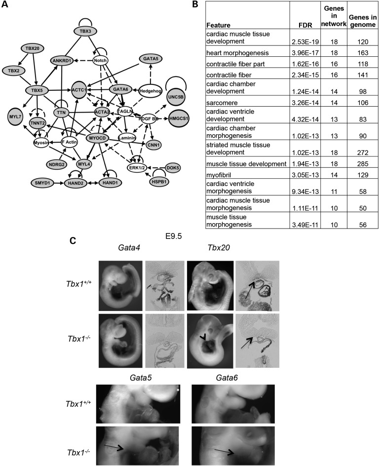 Figure 5.