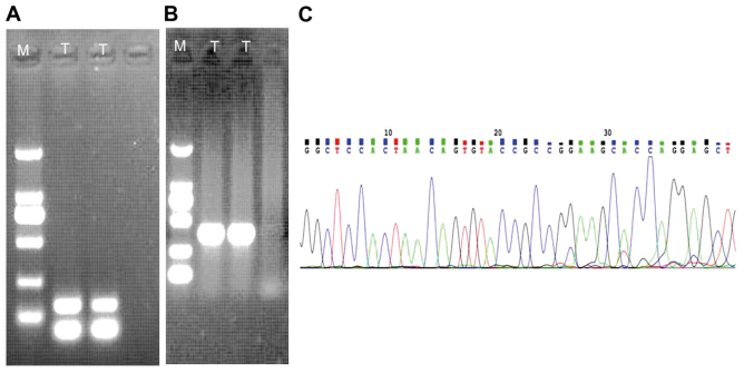 Figure 5.