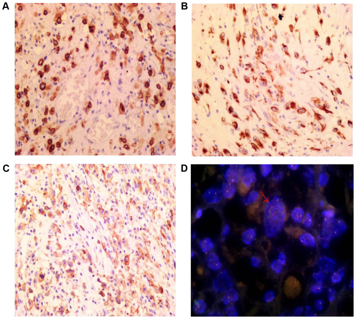 Figure 4.