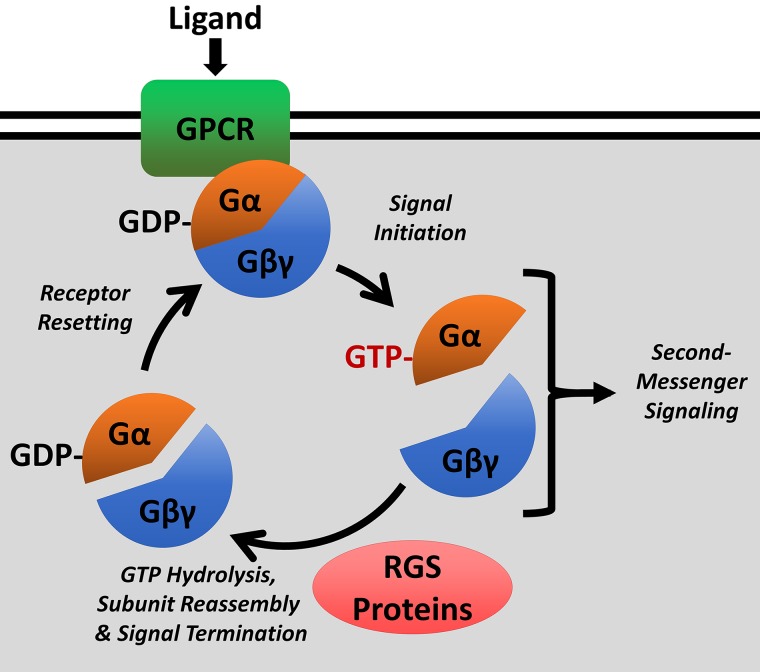 Fig. 1.