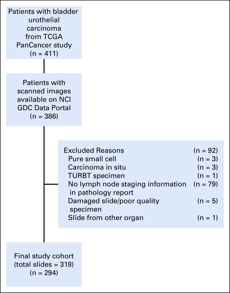 FIG A1.