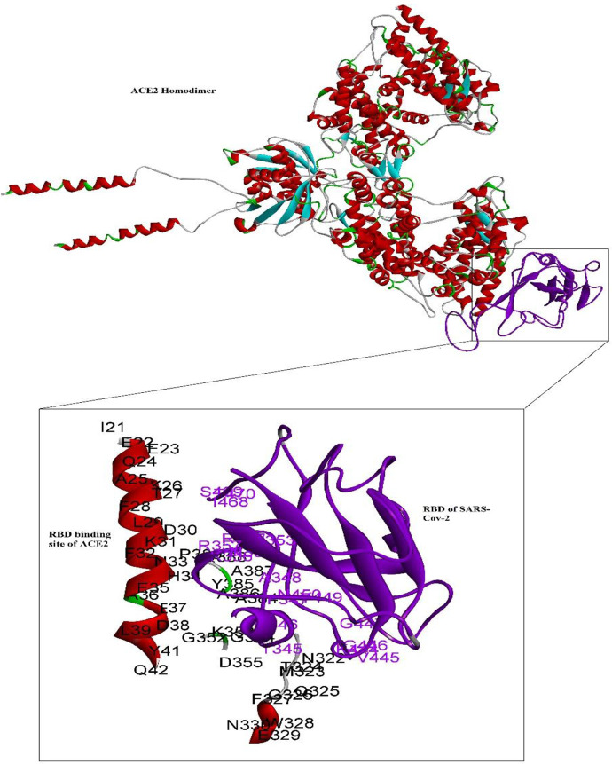 Fig. 1: