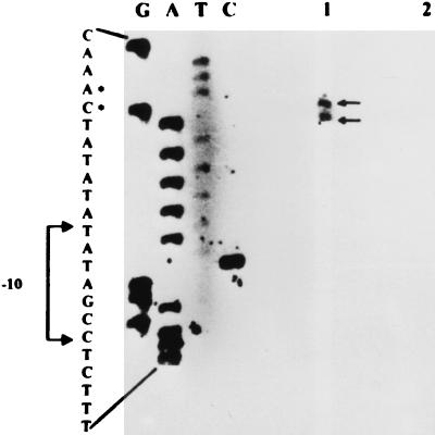 FIG. 2.