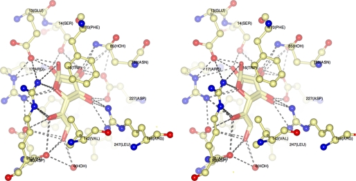 FIGURE 3.