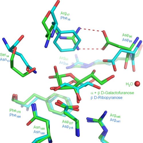 FIGURE 4.