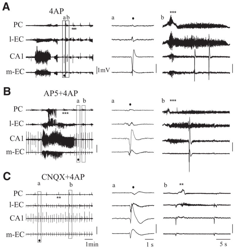 FIG. 7